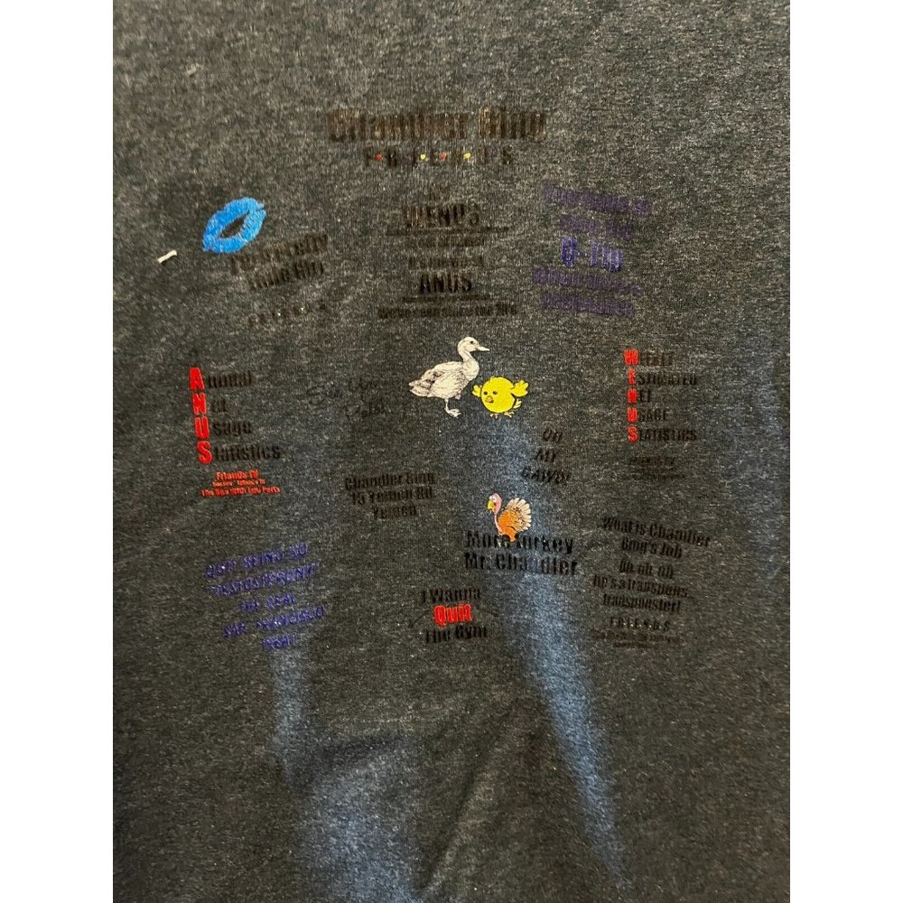 Vintage Matthew Perry Chandler Bing "Friends" T-Shirt Women's L Gildan Gray